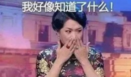 金星爆料小男友视频全集,小男友视频全集大揭秘，情感纠葛引热议